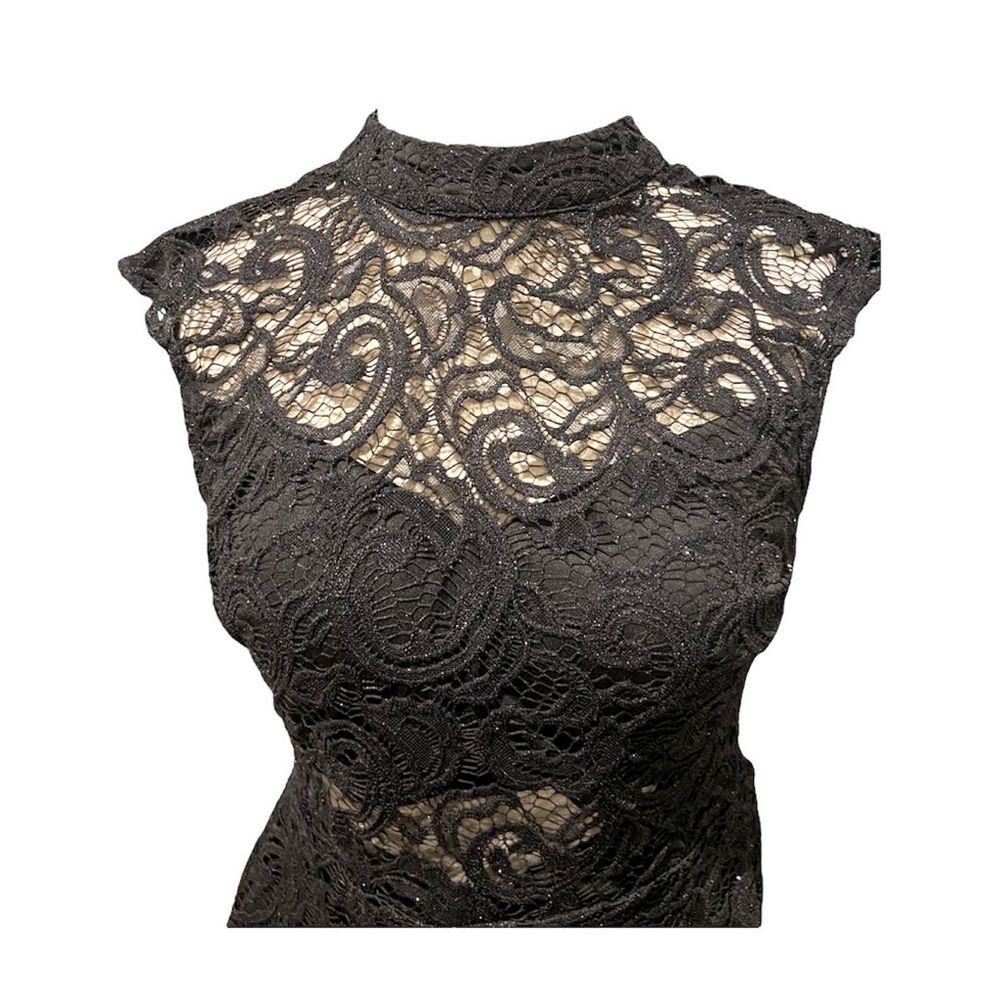 Black Lace Windsor Dress with Sparkle